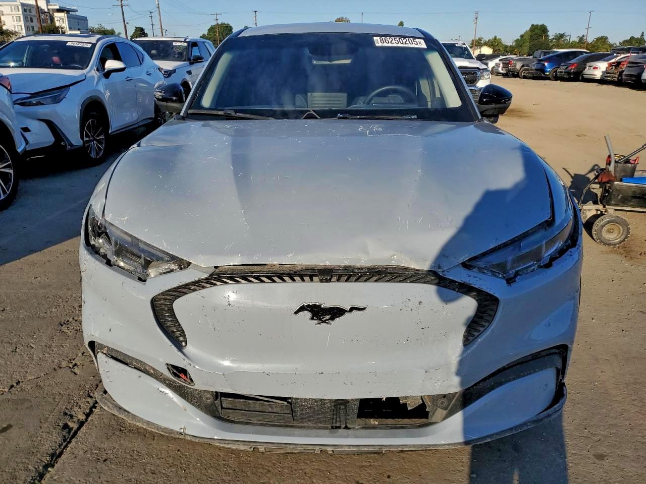 Lot #3320338403 2024 FORD MUSTANG MA