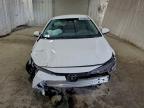 Lot #3318927937 2024 TOYOTA COROLLA LE