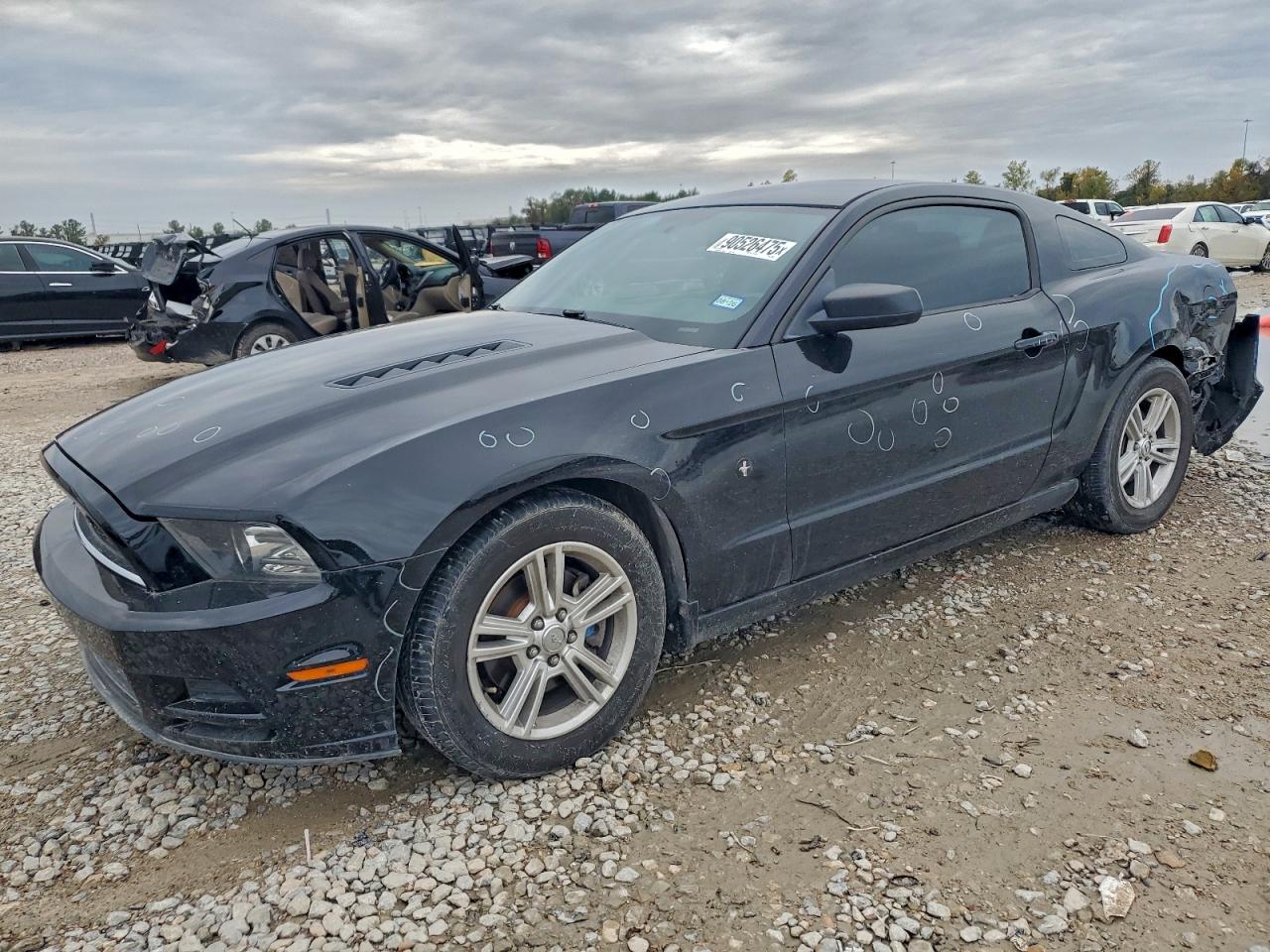 Lot #3309653912 2013 FORD MUSTANG