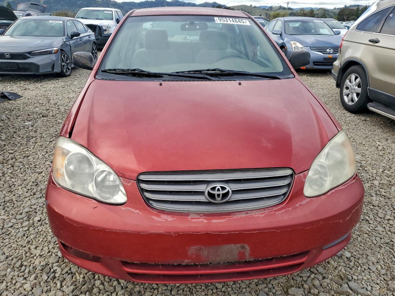 Lot #3304023607 2003 TOYOTA COROLLA CE