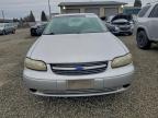 Lot #3304732907 2004 CHEVROLET CLASSIC