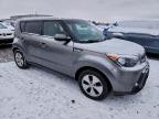 Lot #3312531614 2016 KIA SOUL