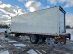 Lot #3312490612 2017 FREIGHTLINER M2