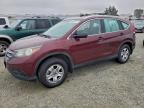 Lot #3305551063 2014 HONDA CR-V LX