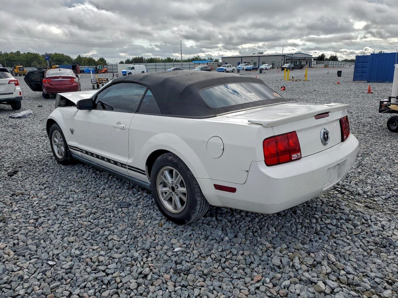 Lot #3316011811 2009 FORD MUSTANG