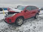 Lot #3311851190 2014 KIA SORENTO LX