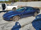 Lot #3303819438 2002 PONTIAC FIREBIRD
