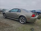 Lot #3315866194 2002 FORD MUSTANG GT