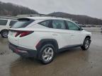 Lot #3315727358 2023 HYUNDAI TUCSON SE