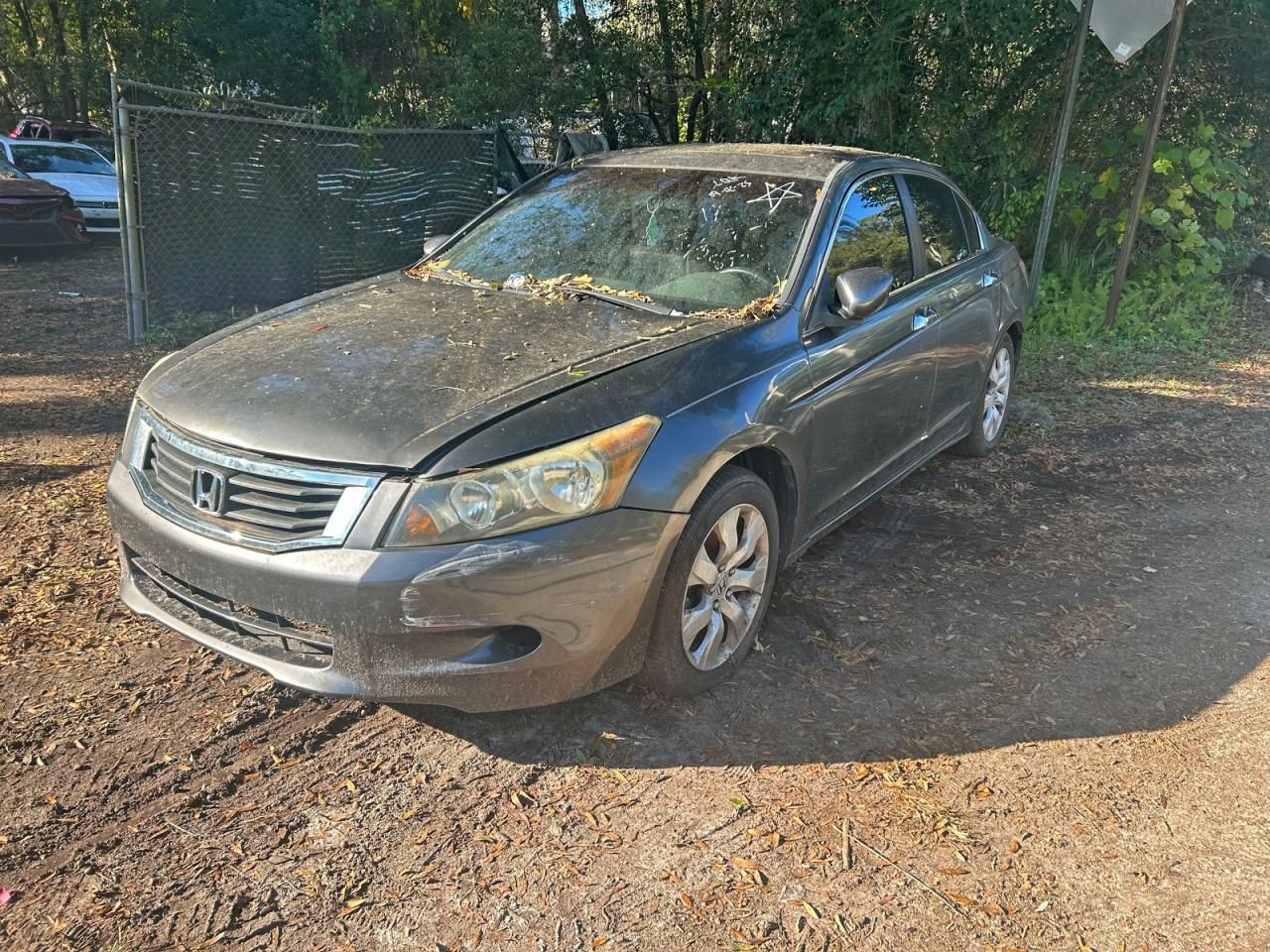 Lot #3311526309 2008 HONDA ACCORD EXL