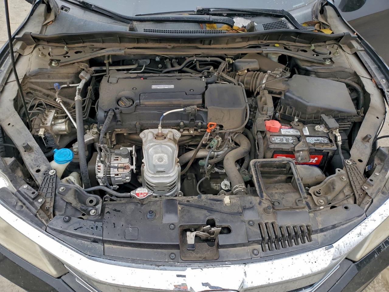 Lot #3316039234 2016 HONDA ACCORD EX