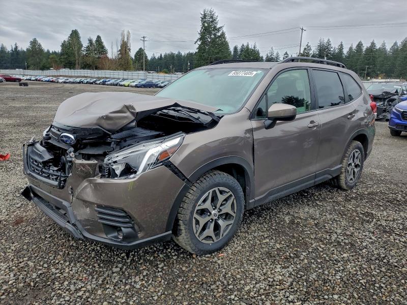 2023 SUBARU FORESTER P #3316081274