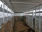 Lot #3310753758 2020 HORS TRAILER