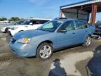Lot #3310326031 2008 CHEVROLET MALIBU LS