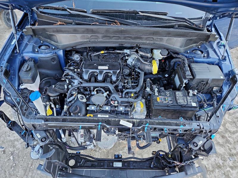 2025 KIA TELLURIDE #3316947080