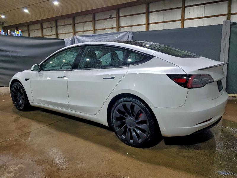 2023 TESLA MODEL 3 #3312334782