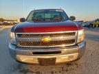 Lot #3315873083 2013 CHEVROLET SILVERADO