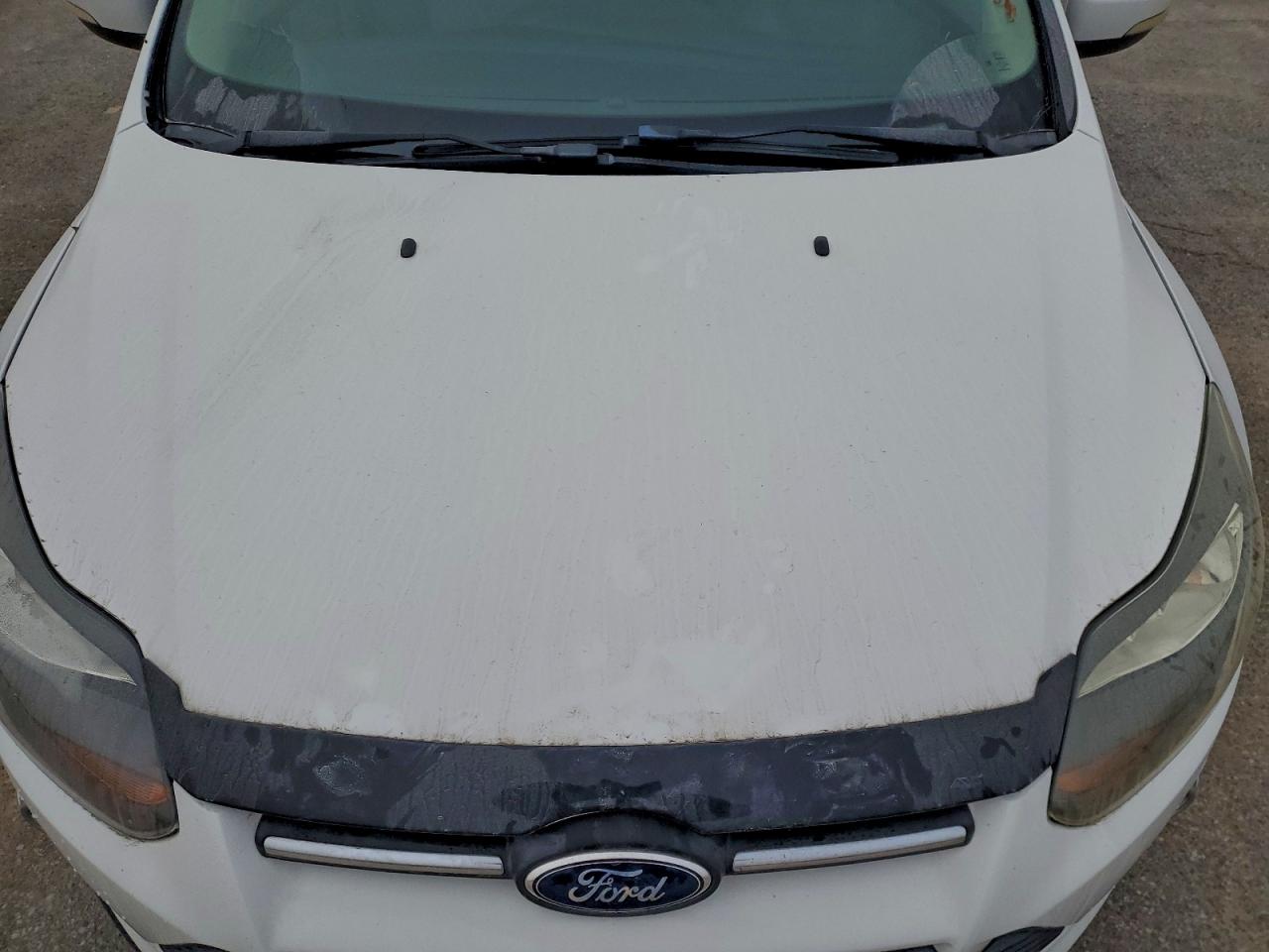 Lot #3312256774 2014 FORD FOCUS SE