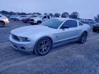 Lot #3310461152 2010 FORD MUSTANG