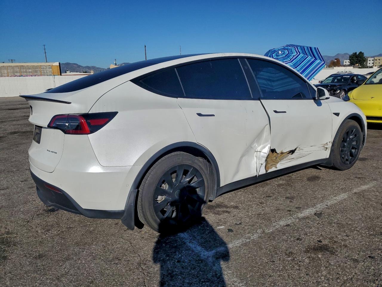 Lot #3317056999 2021 TESLA MODEL Y