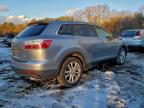 Lot #3305324315 2011 MAZDA CX-9