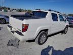 Lot #3312589226 2006 HONDA RIDGELINE