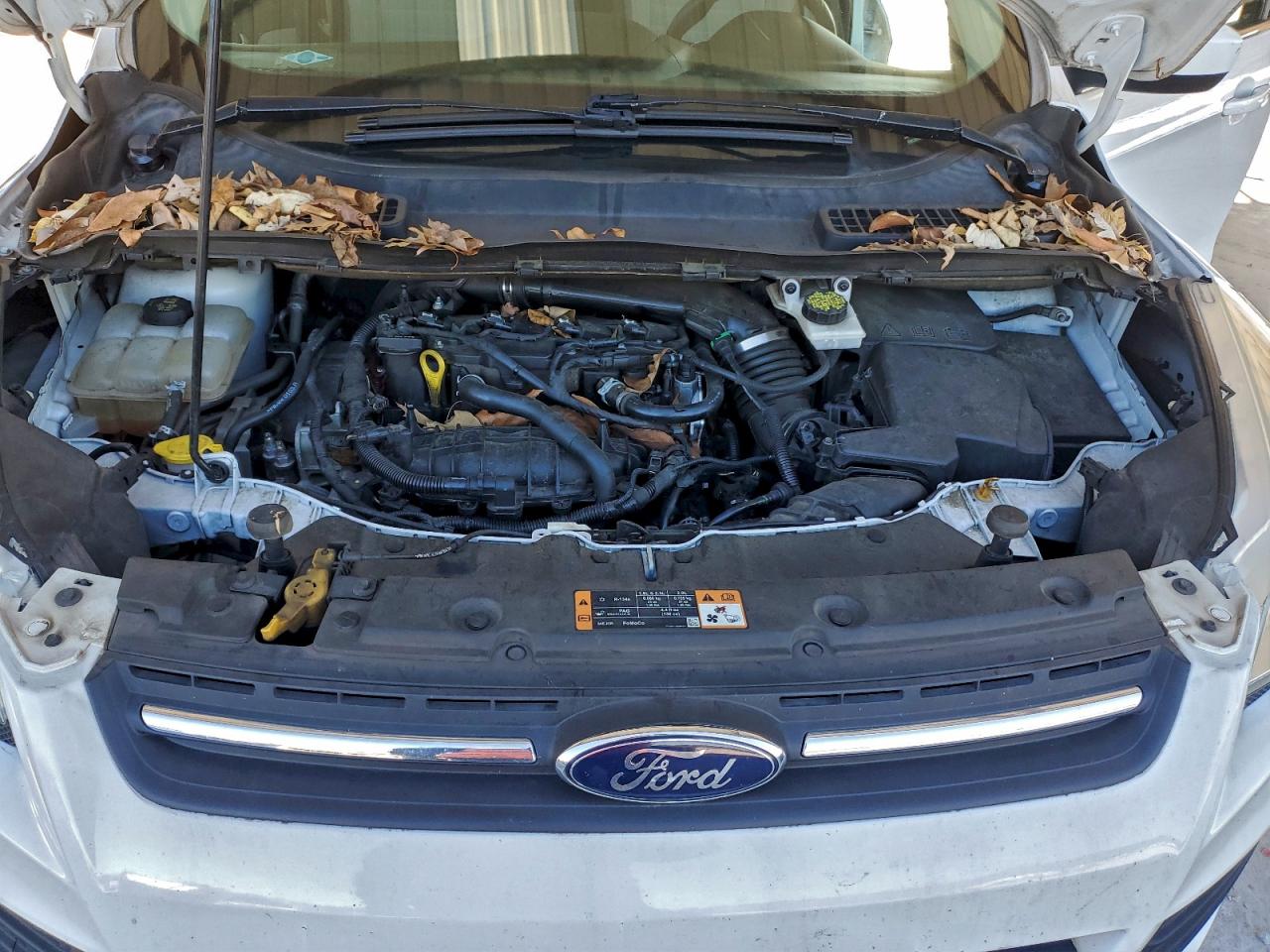 Lot #3316814450 2016 FORD ESCAPE SE