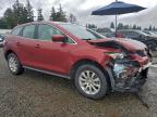Lot #3305493146 2010 MAZDA CX-7