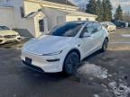 Lot #3316838686 2026 TESLA MODEL Y