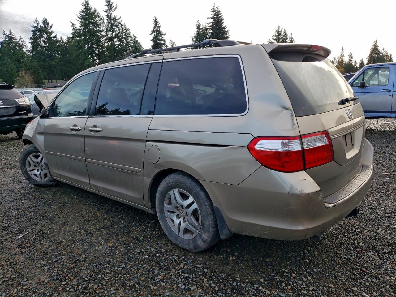 Lot #3317738073 2005 HONDA ODYSSEY EX