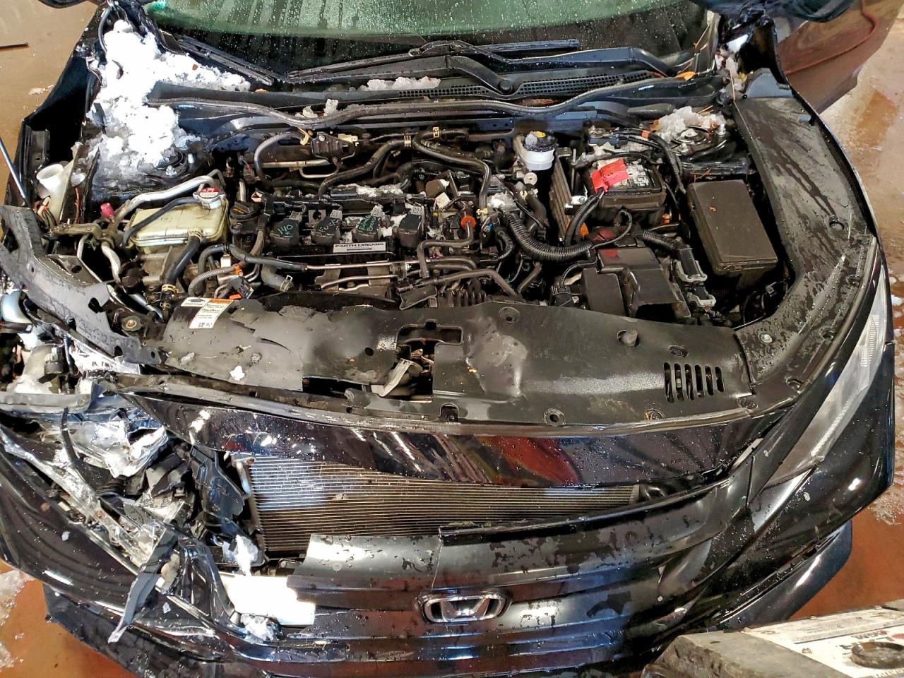 Lot #3311522249 2017 HONDA CIVIC EX