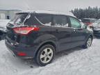 Lot #3303732435 2016 FORD ESCAPE SE