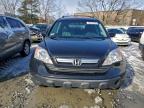 Lot #3303747446 2007 HONDA CR-V EXL