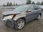 Lot #3319069289 2010 HONDA CR-V EXL
