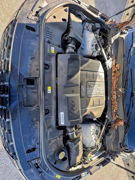 2019 LAND ROVER RANGE ROVE #3302068119