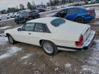Lot #3317765068 1989 JAGUAR XJS