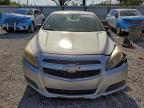 Lot #3308381359 2013 CHEVROLET MALIBU LS