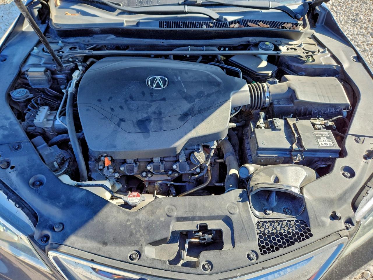 Lot #3317186146 2015 ACURA TLX TECH