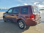 Lot #3303810463 2015 HONDA PILOT LX