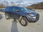 Lot #3304671948 2020 TOYOTA 4RUNNER SR