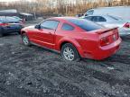 Lot #3313702150 2005 FORD MUSTANG