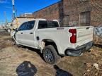 Lot #3312426638 2023 CHEVROLET SILVERADO
