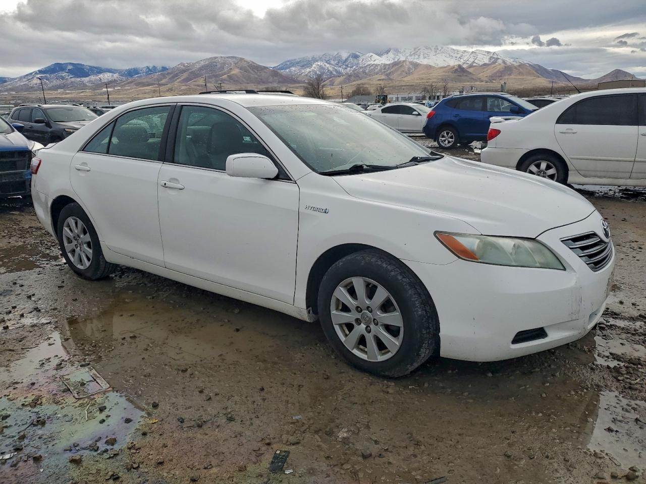 Lot #3306875902 2008 TOYOTA CAMRY HYBR