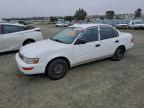 Lot #3316803440 1993 TOYOTA COROLLA