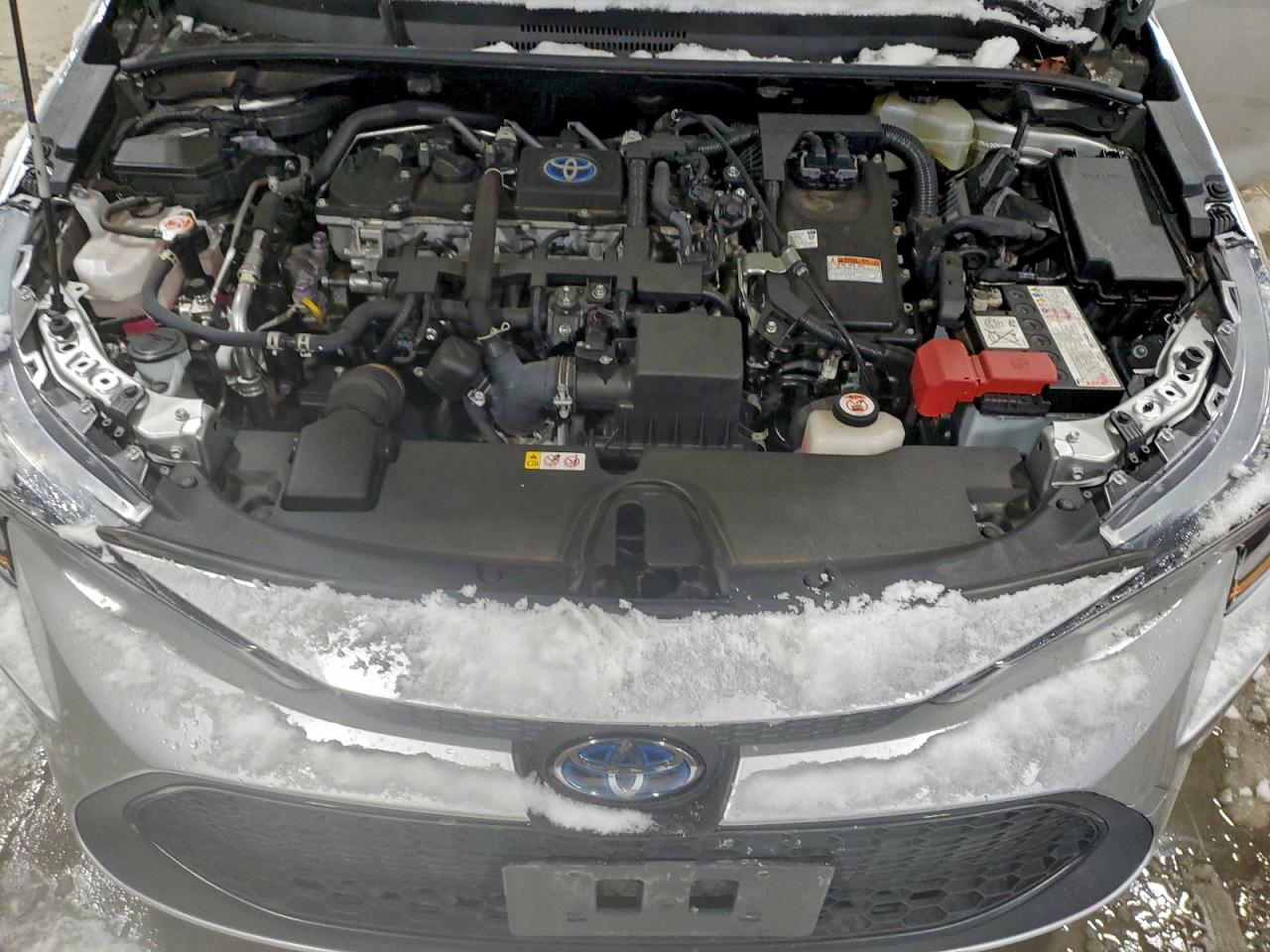 Lot #3317760098 2021 TOYOTA COROLLA LE