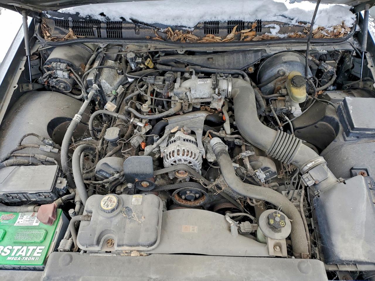 Lot #3301697627 2003 FORD CROWN VICT