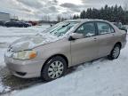 Lot #3303732437 2003 TOYOTA COROLLA CE