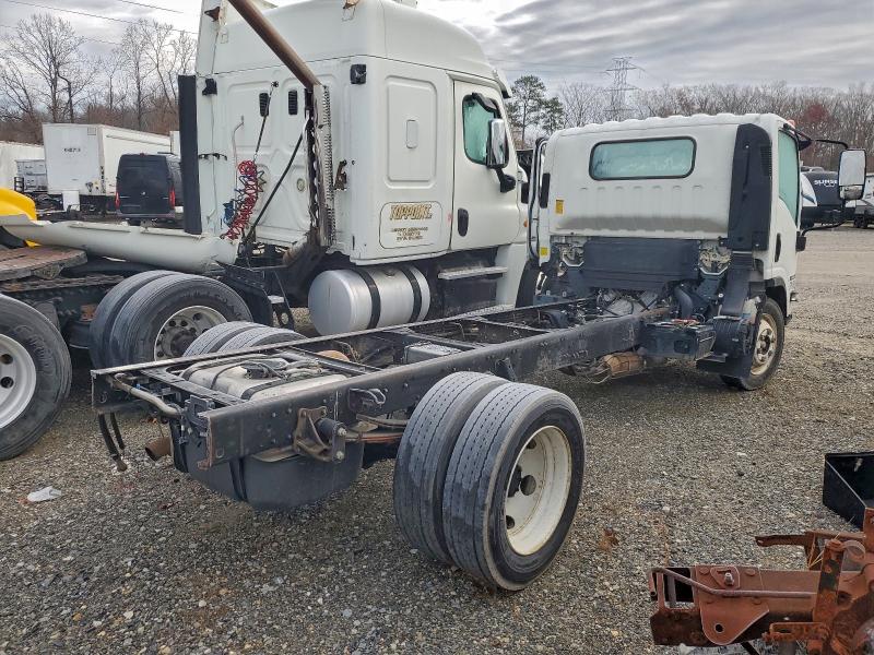 2023 ISUZU NPR HD #3304555442