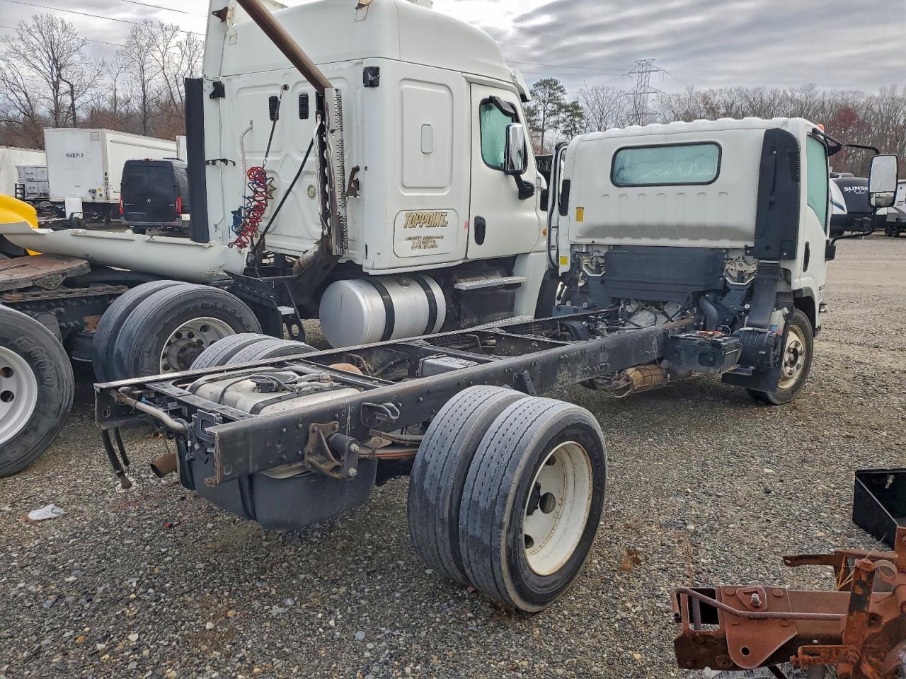 Lot #3304555442 2023 ISUZU NPR HD