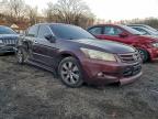 Lot #3306393557 2010 HONDA ACCORD EXL